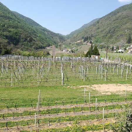 Agriturismo Le Cavade Cembra Lisignago Kültér fotó
